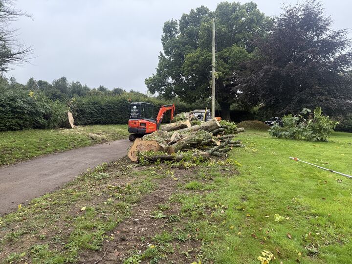 Tree Down - After.jpeg